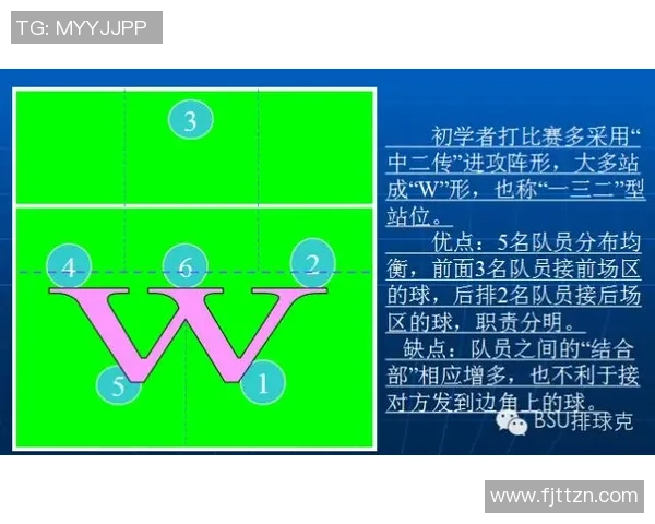 武汉羽毛球队节奏对比深度解析与战术优势探讨